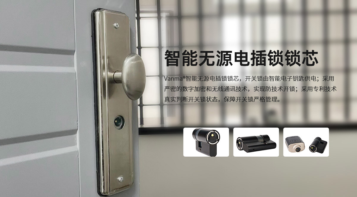 電插鎖DSCX1產(chǎn)品詳情頁-Vanma主站-（梁媛20210929）_01.jpg